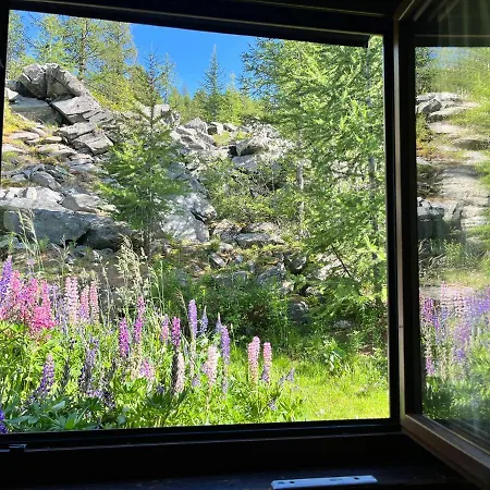 Cervinia Studio Apartment *